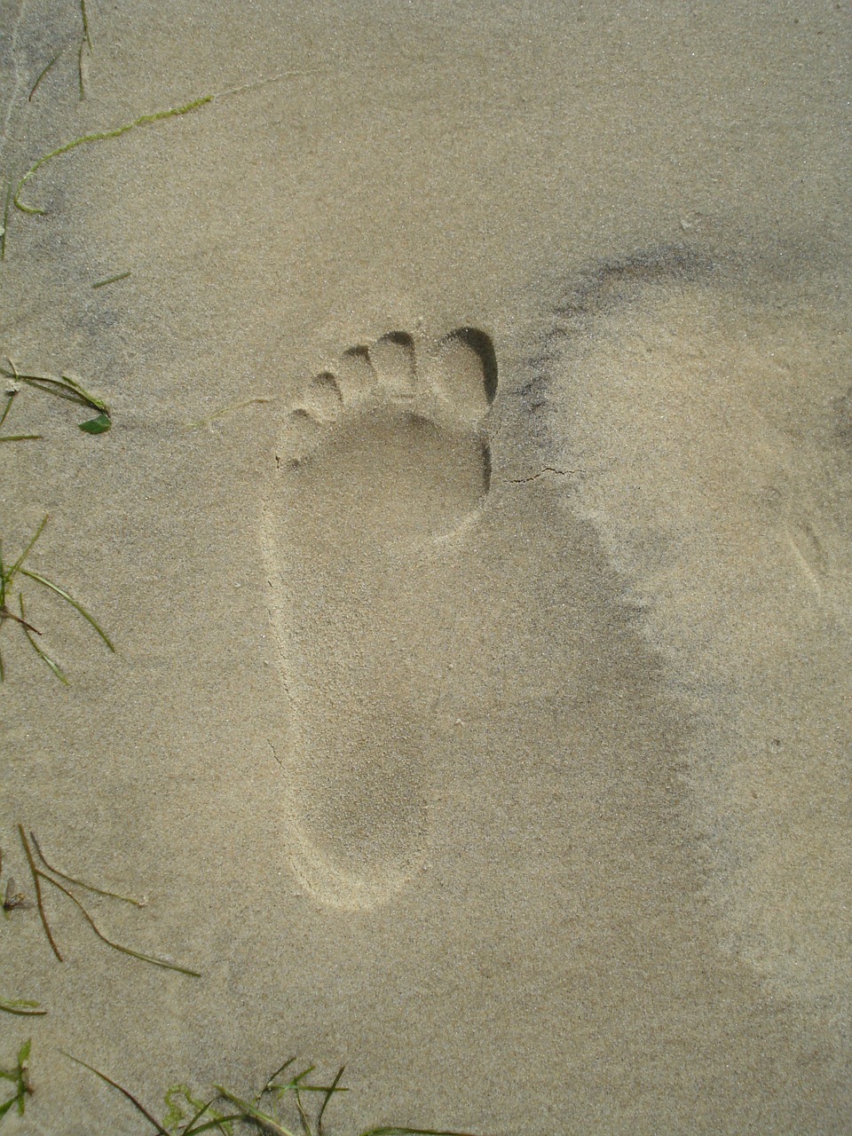 footprint sand beach free photo