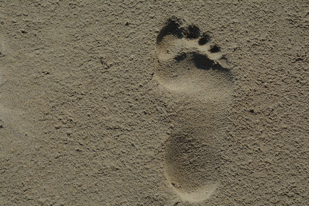 footprint  sand  beach free photo