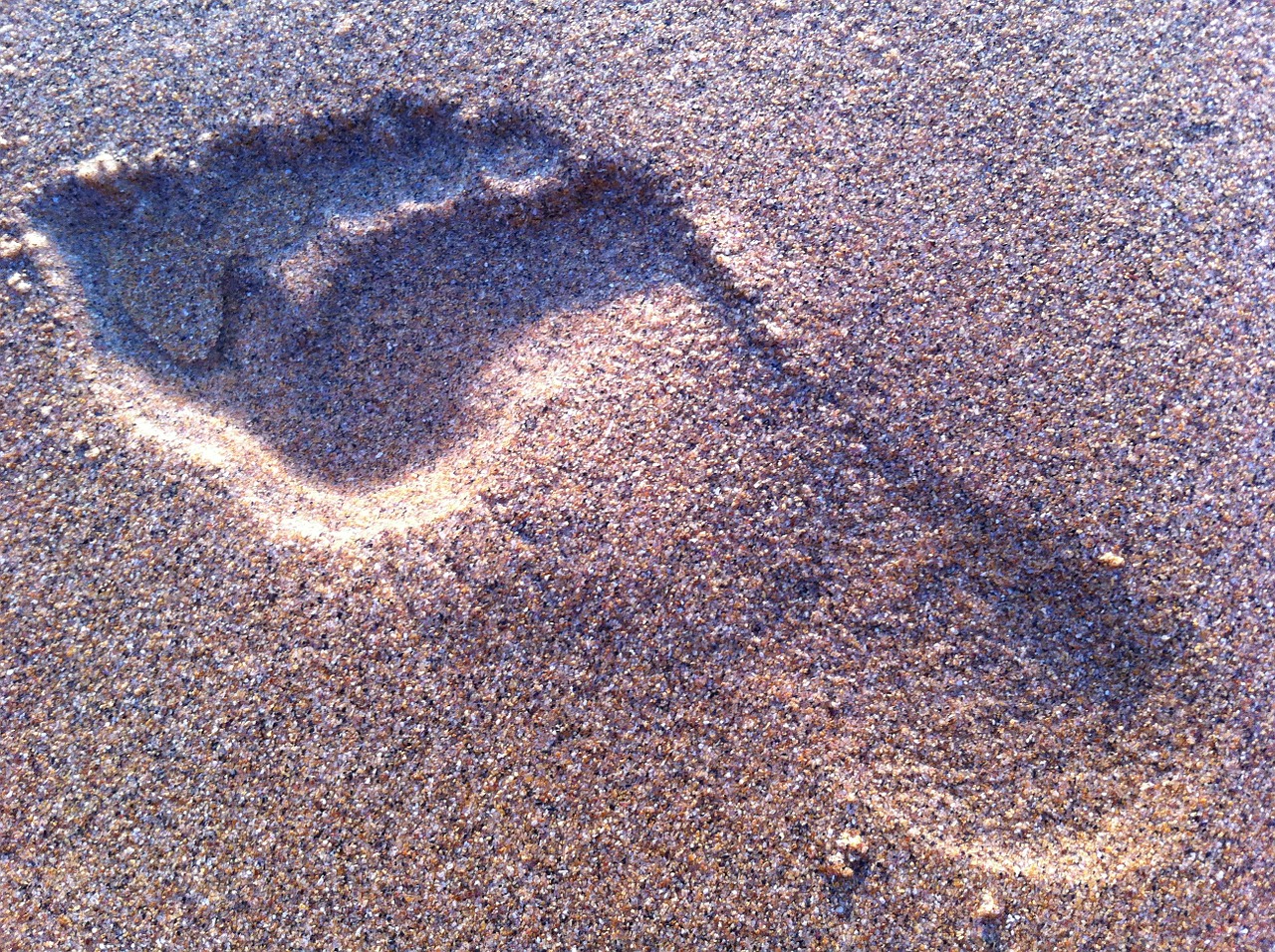 footprint sand beach free photo