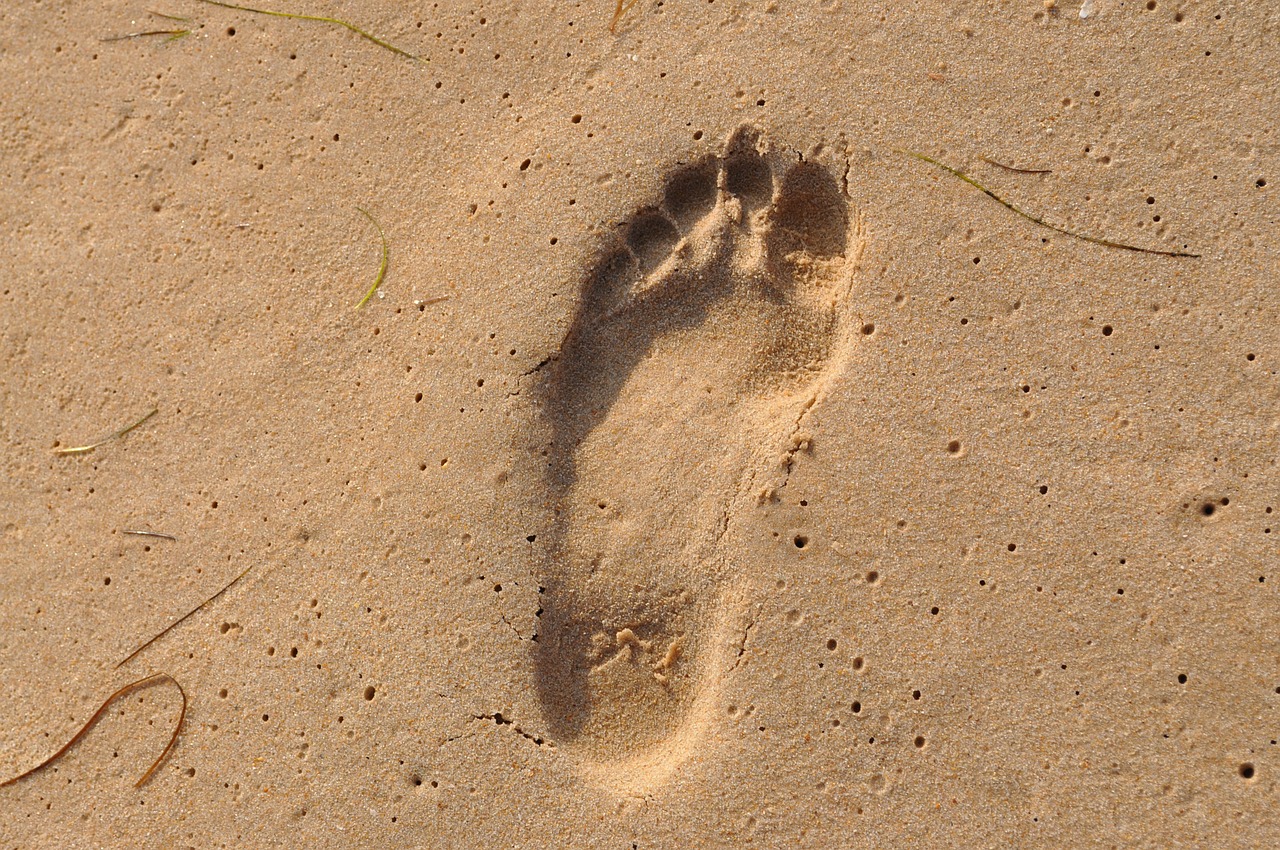 footprint sea beach free photo