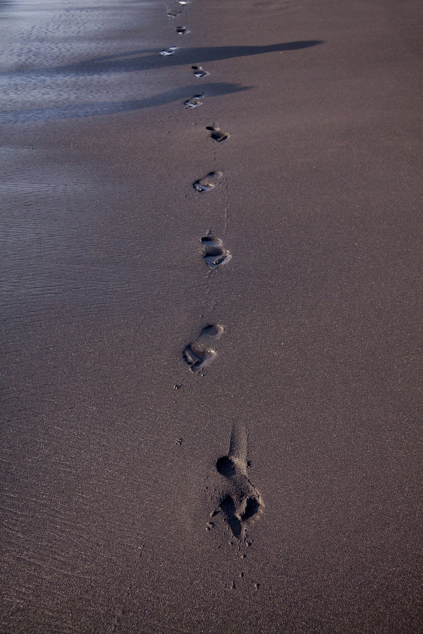 footprint beach traces free photo
