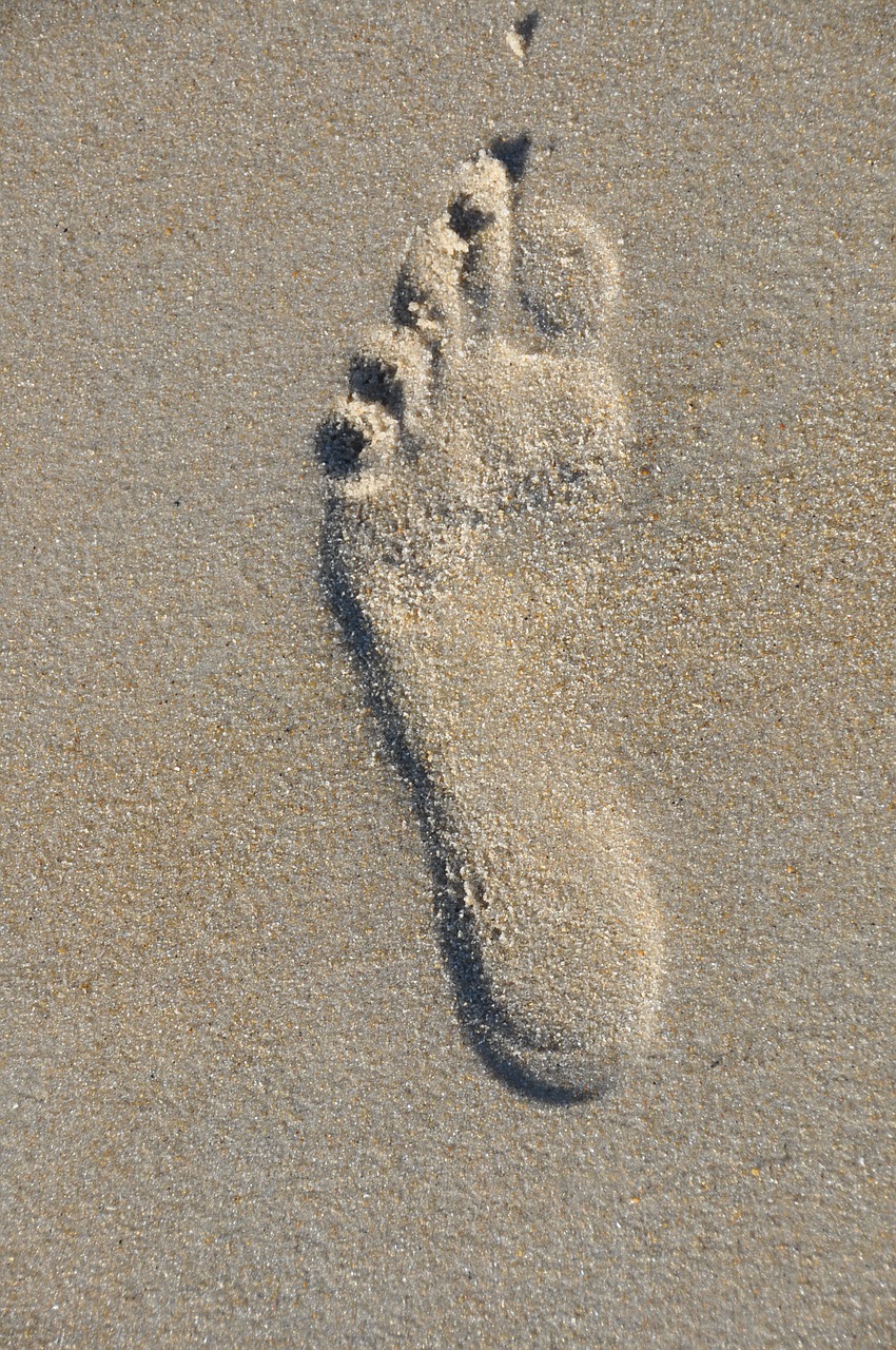footprint beach sand free photo