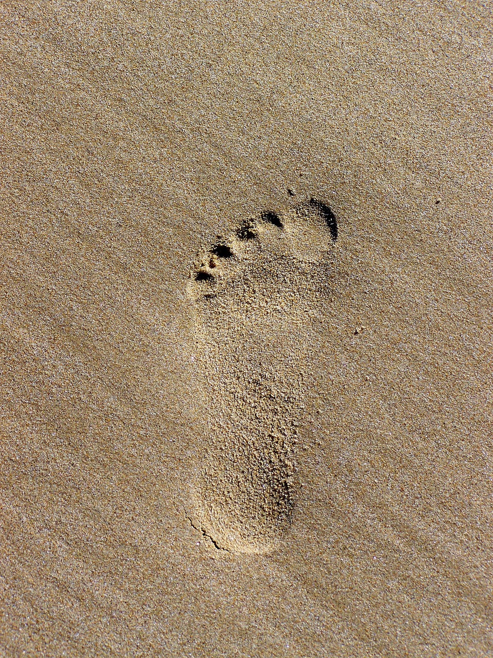 footprint tracks in the sand footprints in the sand free photo
