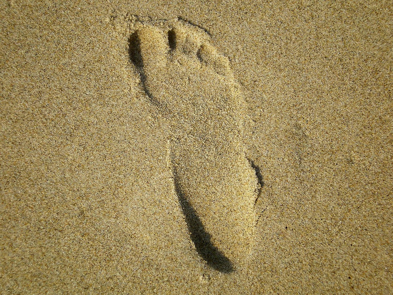 footprint barefoot free pictures free photo