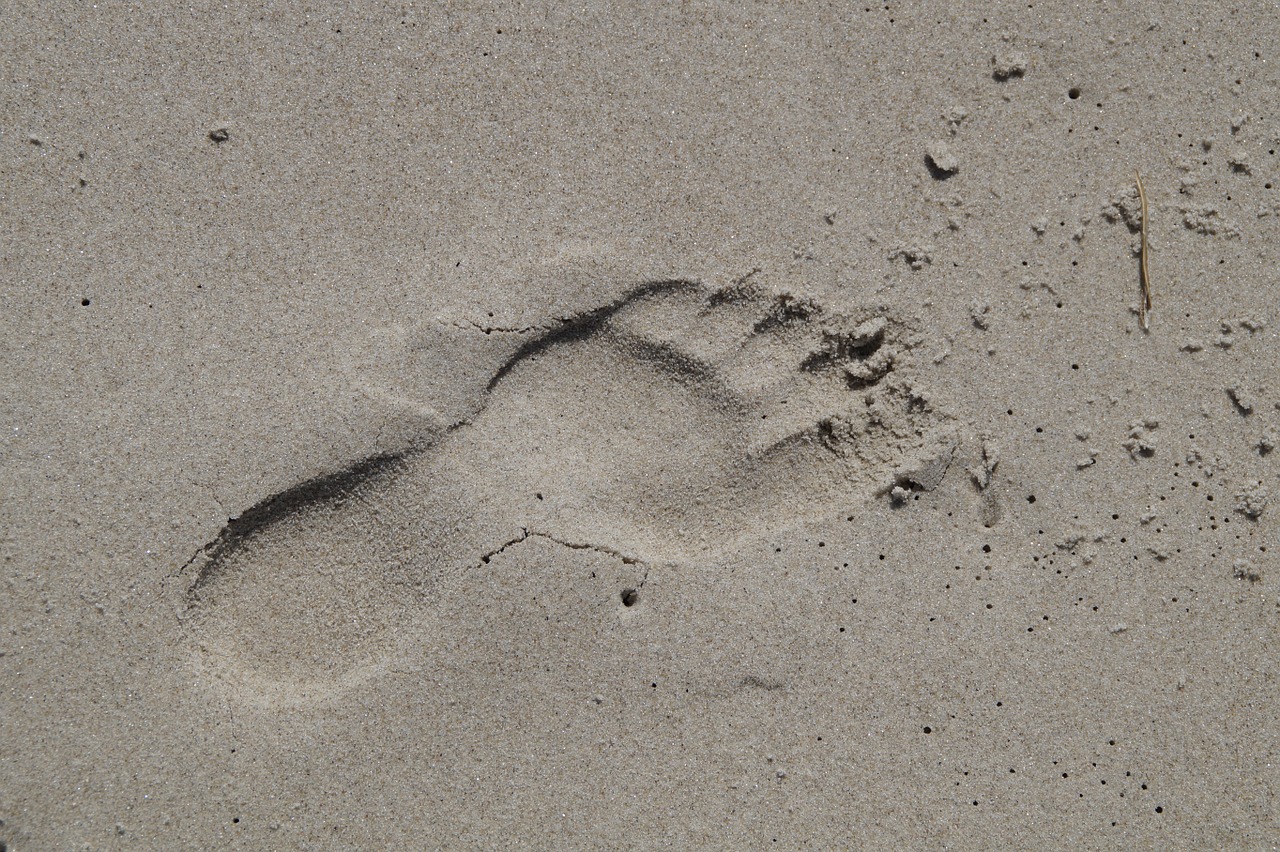 footprint sand beach free photo