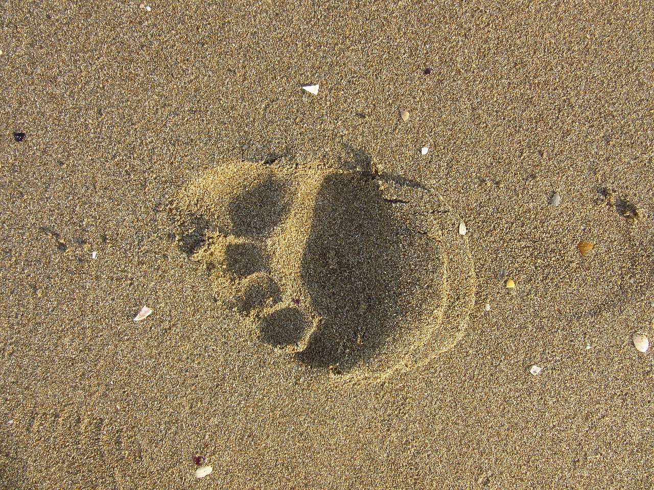 footprint sand run free photo