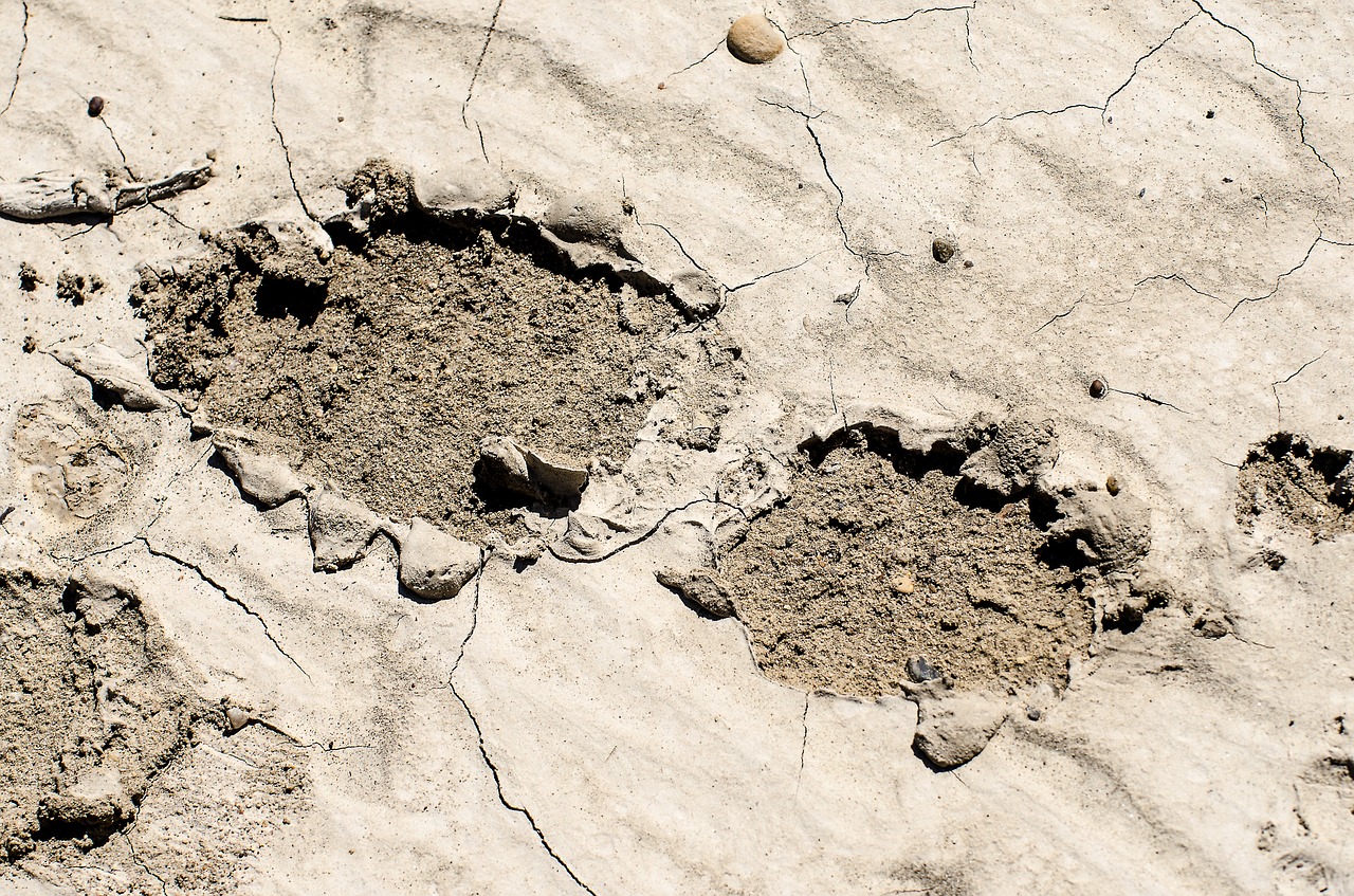 footprint in mud muddy footprint dried mud free photo
