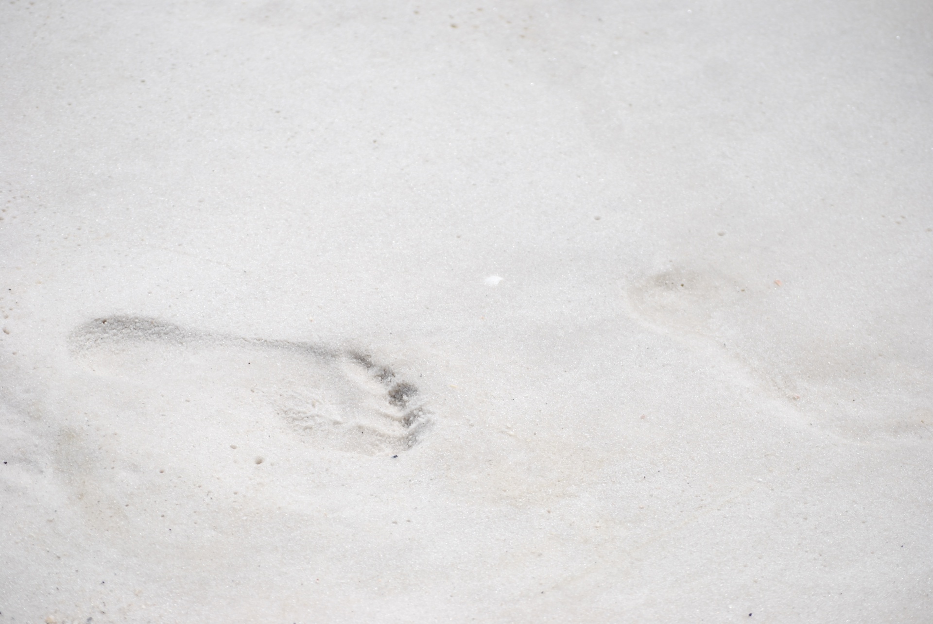 beach sand footprint free photo