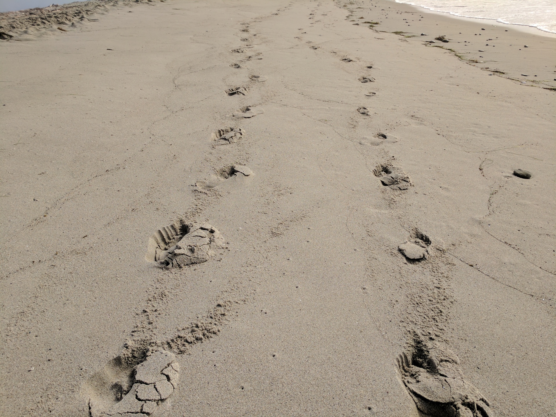 footprint sand beach free photo