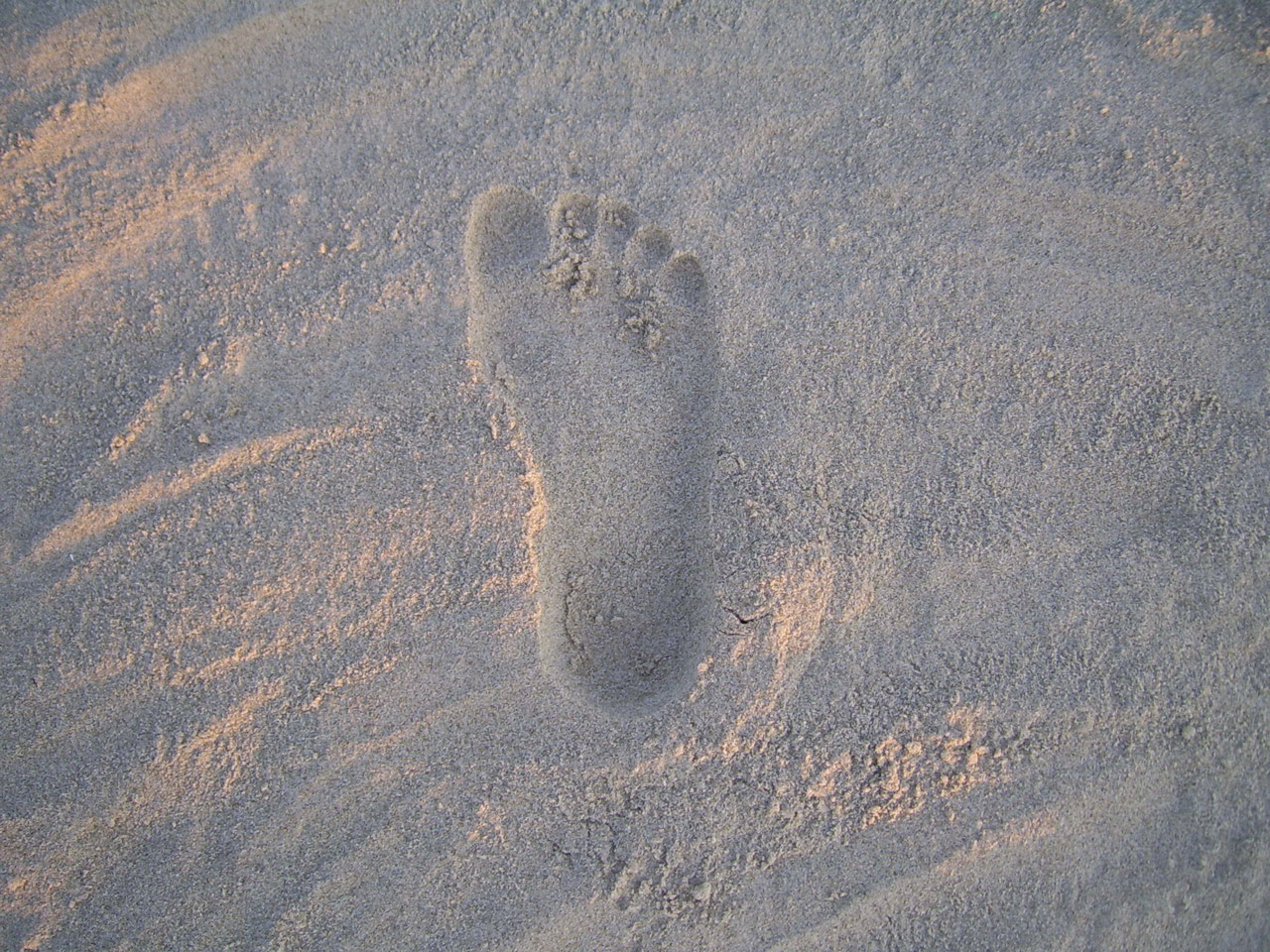 footprint lone sand free photo