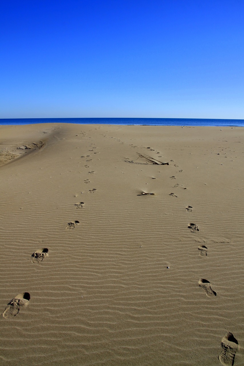 footprints sand sea free photo