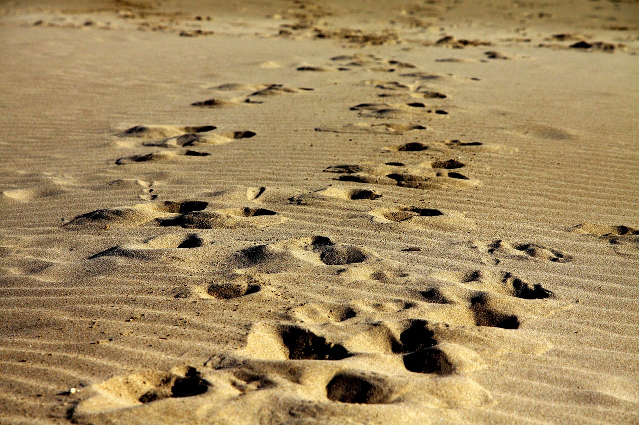 footprints sand walk free photo