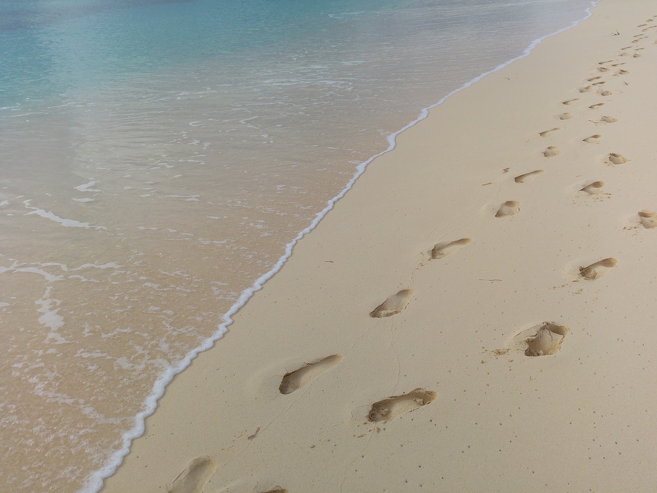 footprints beach water free photo