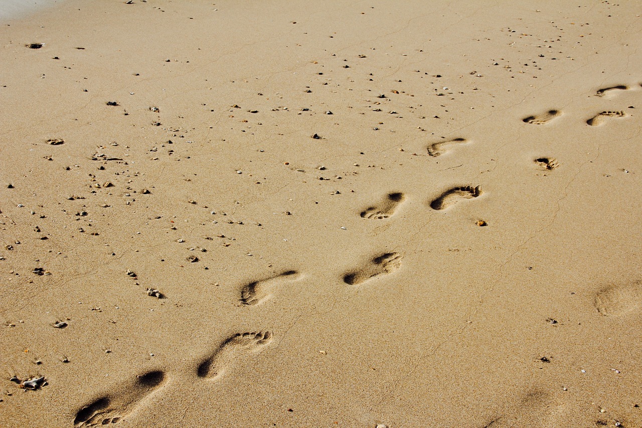 footprints sand sun free photo