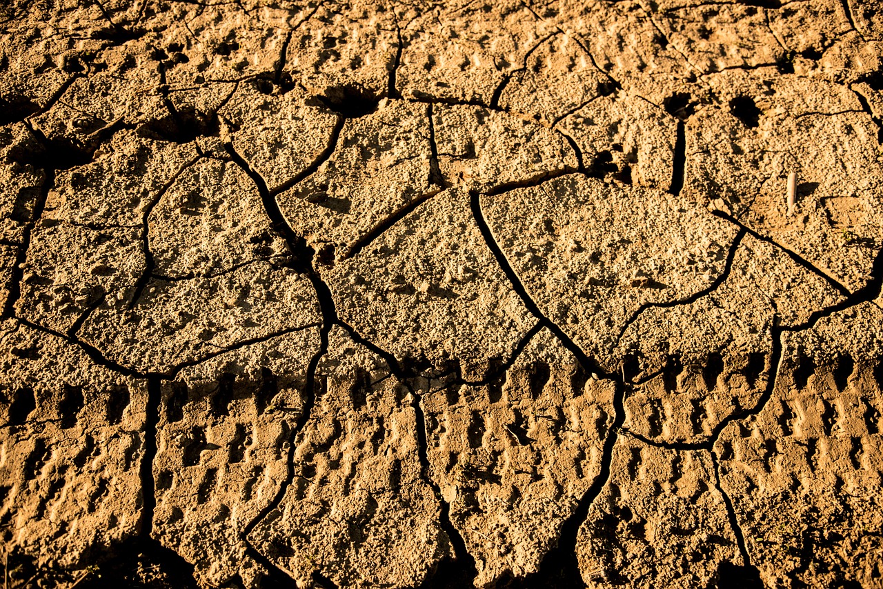footprints wheel drought free photo