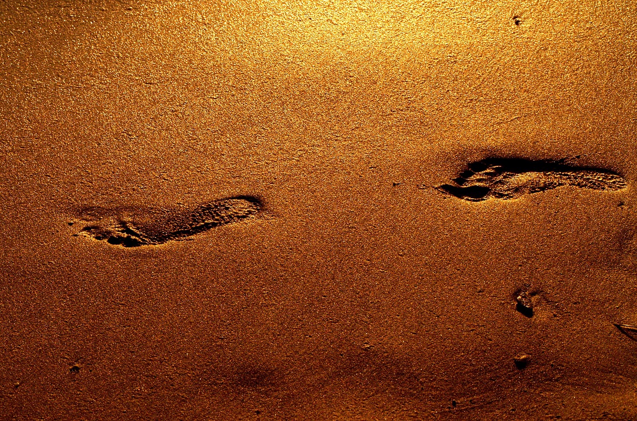 footprints gold step free photo