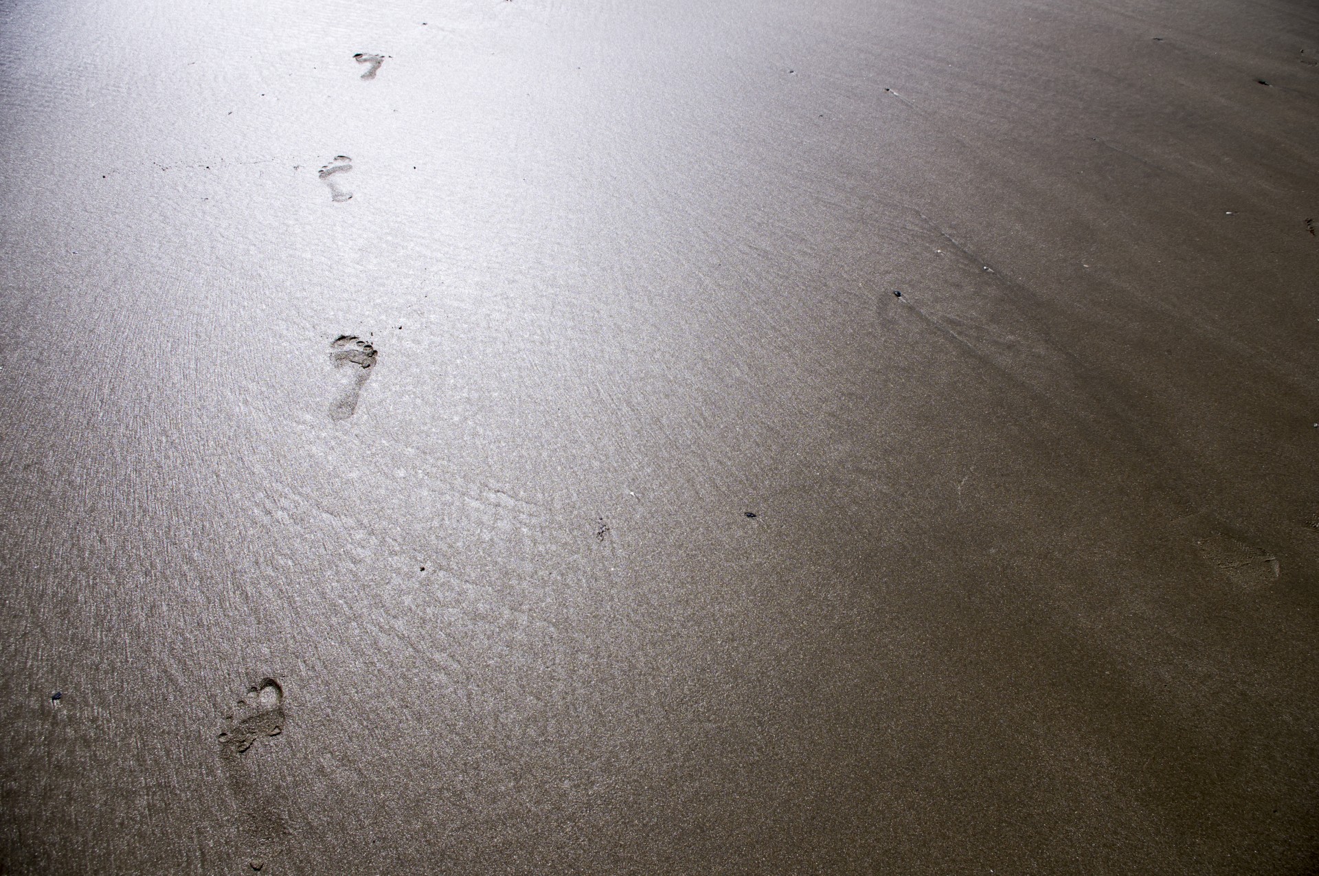 beach sand foot free photo
