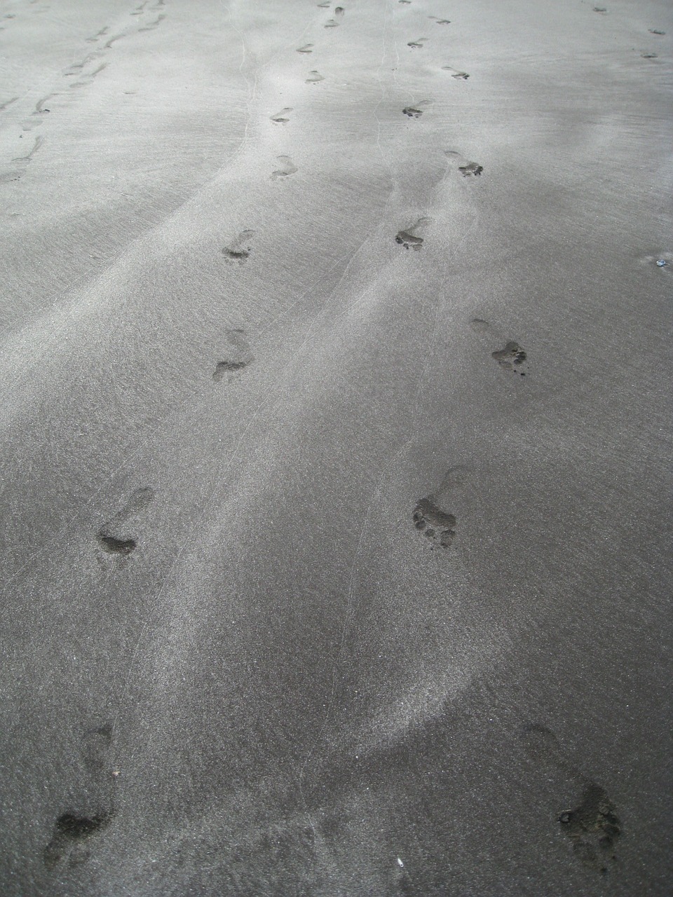 footprints sand footsteps free photo