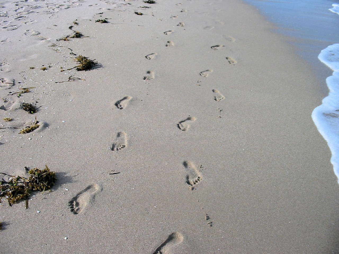 footprints beach sand free photo