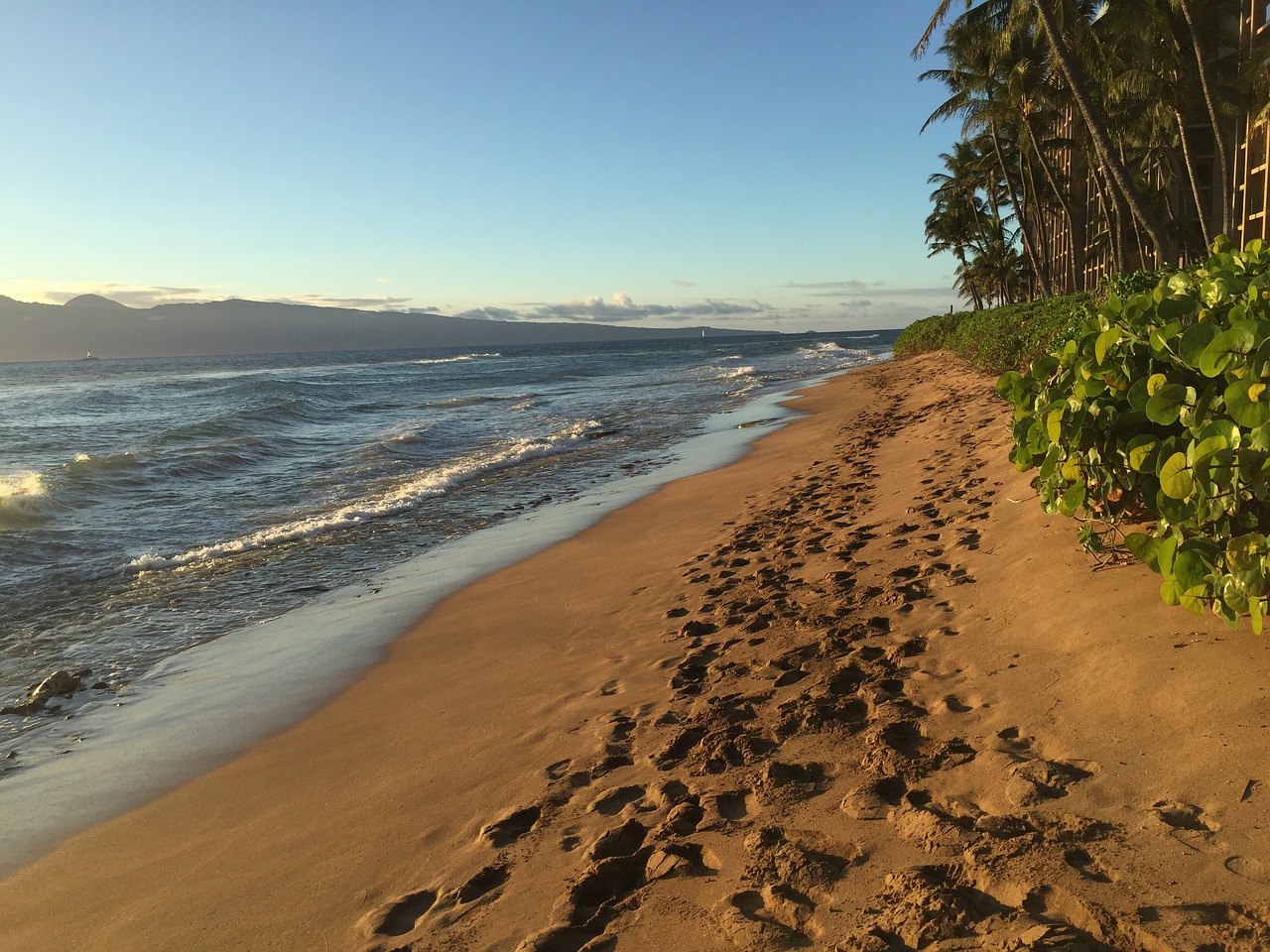 footprints sand beach free photo