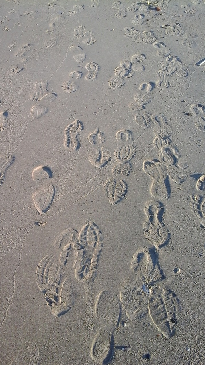 footprints sand busy free photo