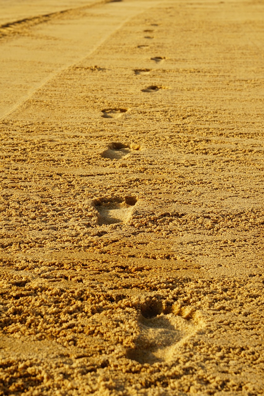 footprints sand barefoot free photo