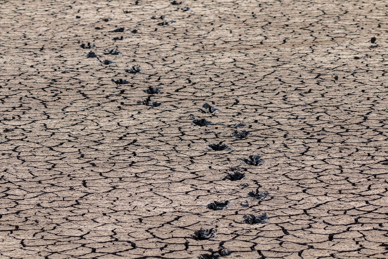 footprints drought away free photo