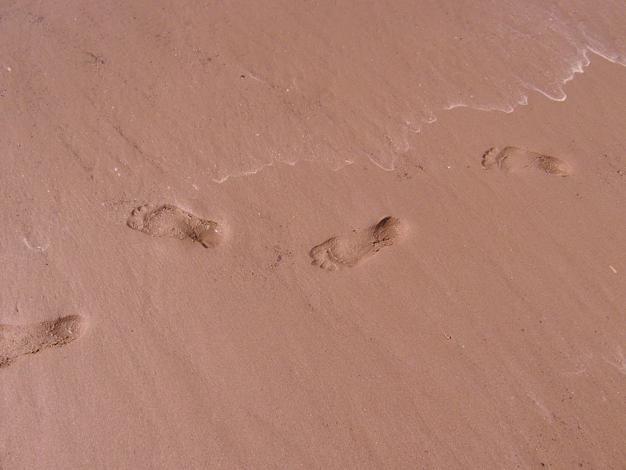 footprints traces sand free photo