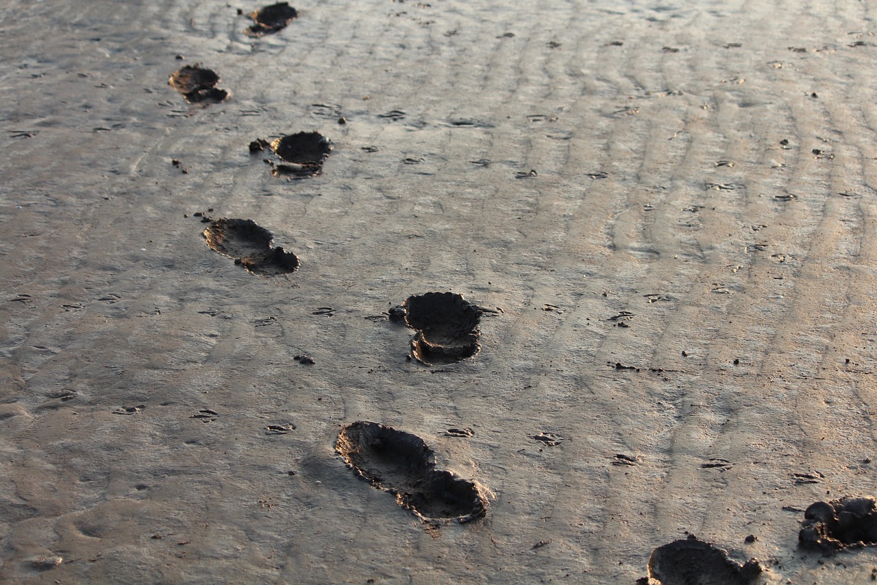 footprints steps bristol free photo