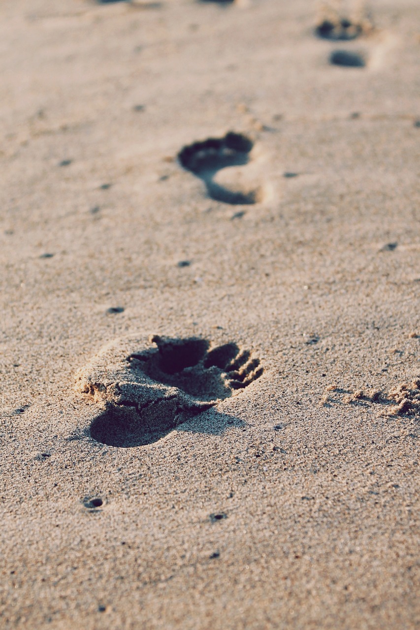 footprints sand beach free photo