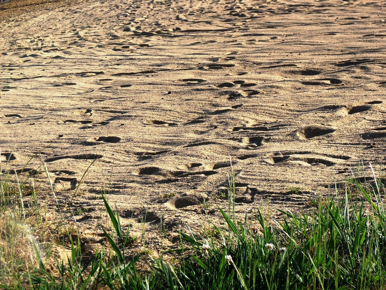 footprints  sand  water nature free photo