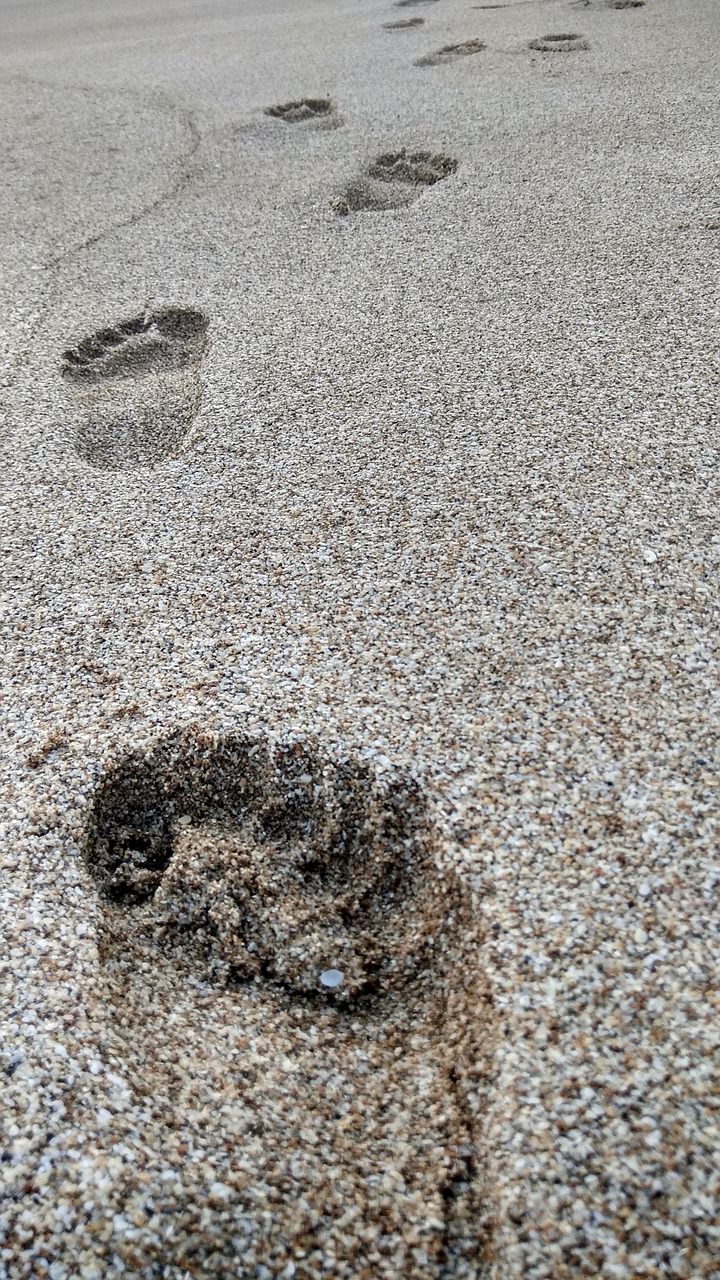 footprints  beach  sand free photo