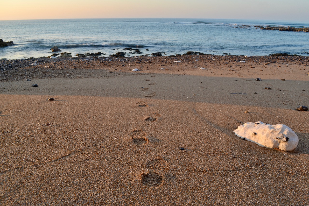 footprints  beach  sand free photo