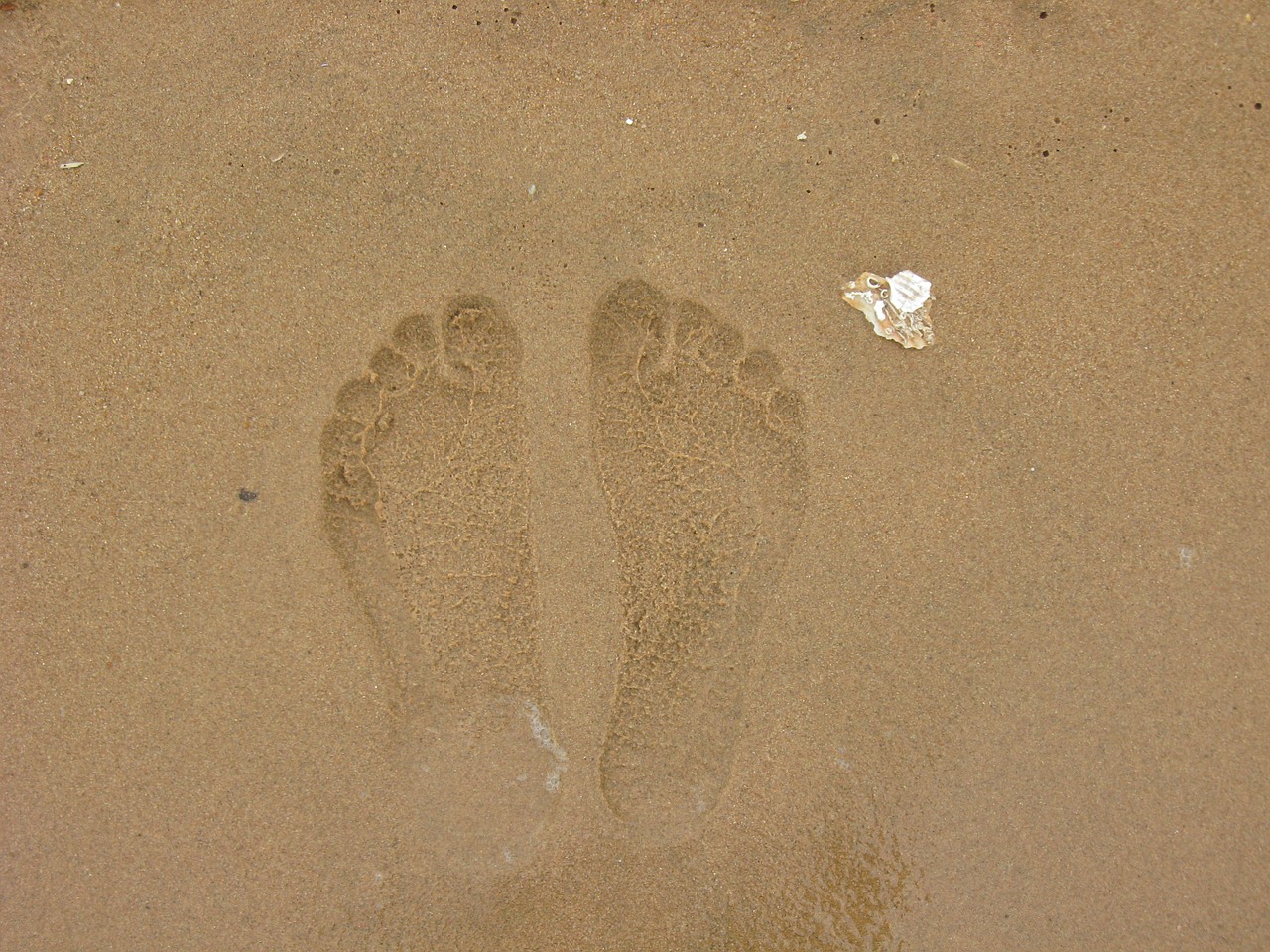 footprints sha beach free photo