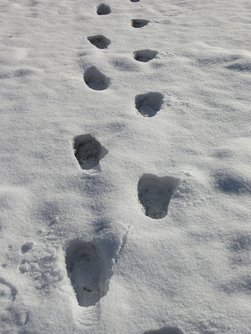 footprints snow prints snow free photo