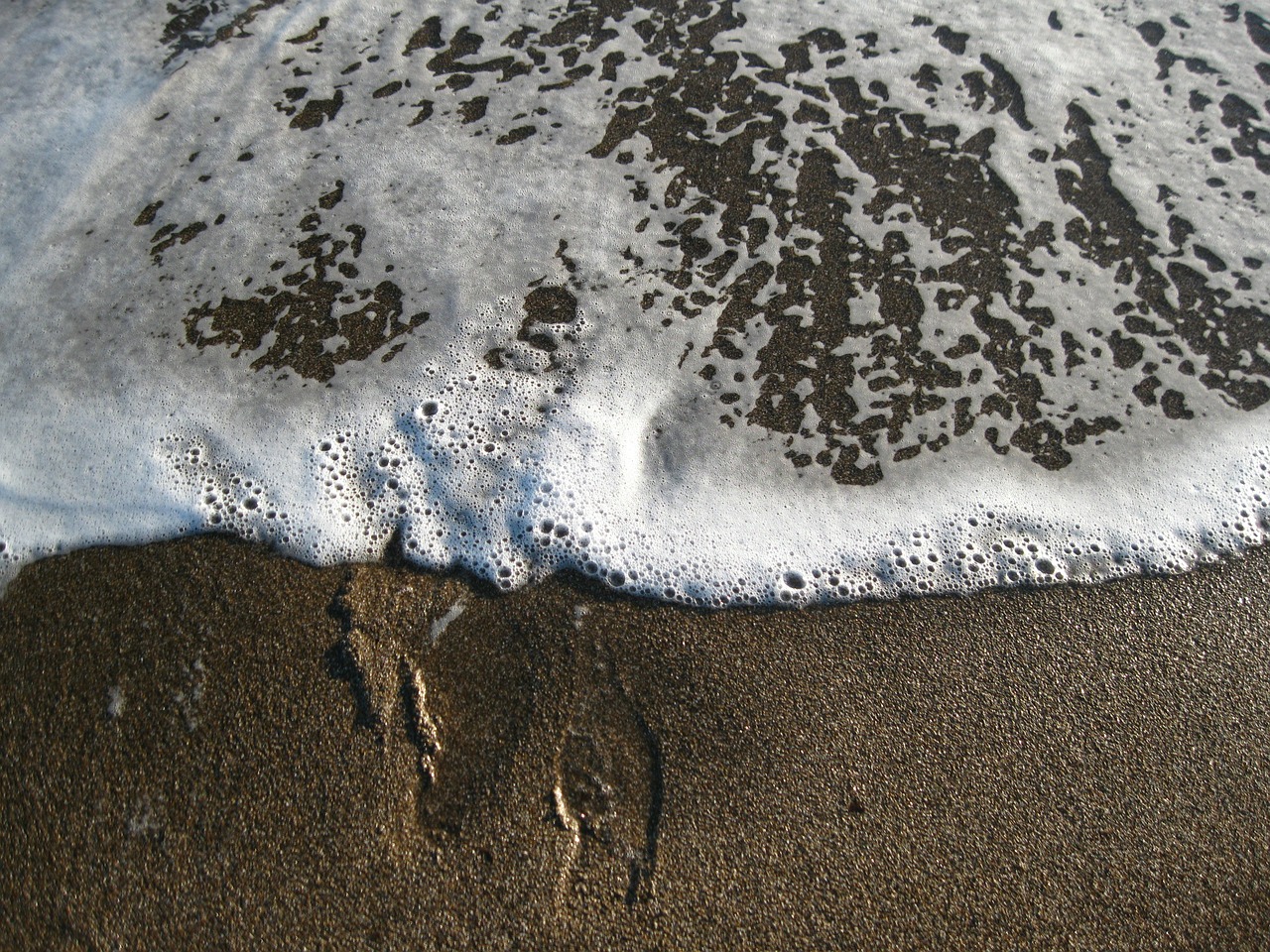 footprints surf wave free photo