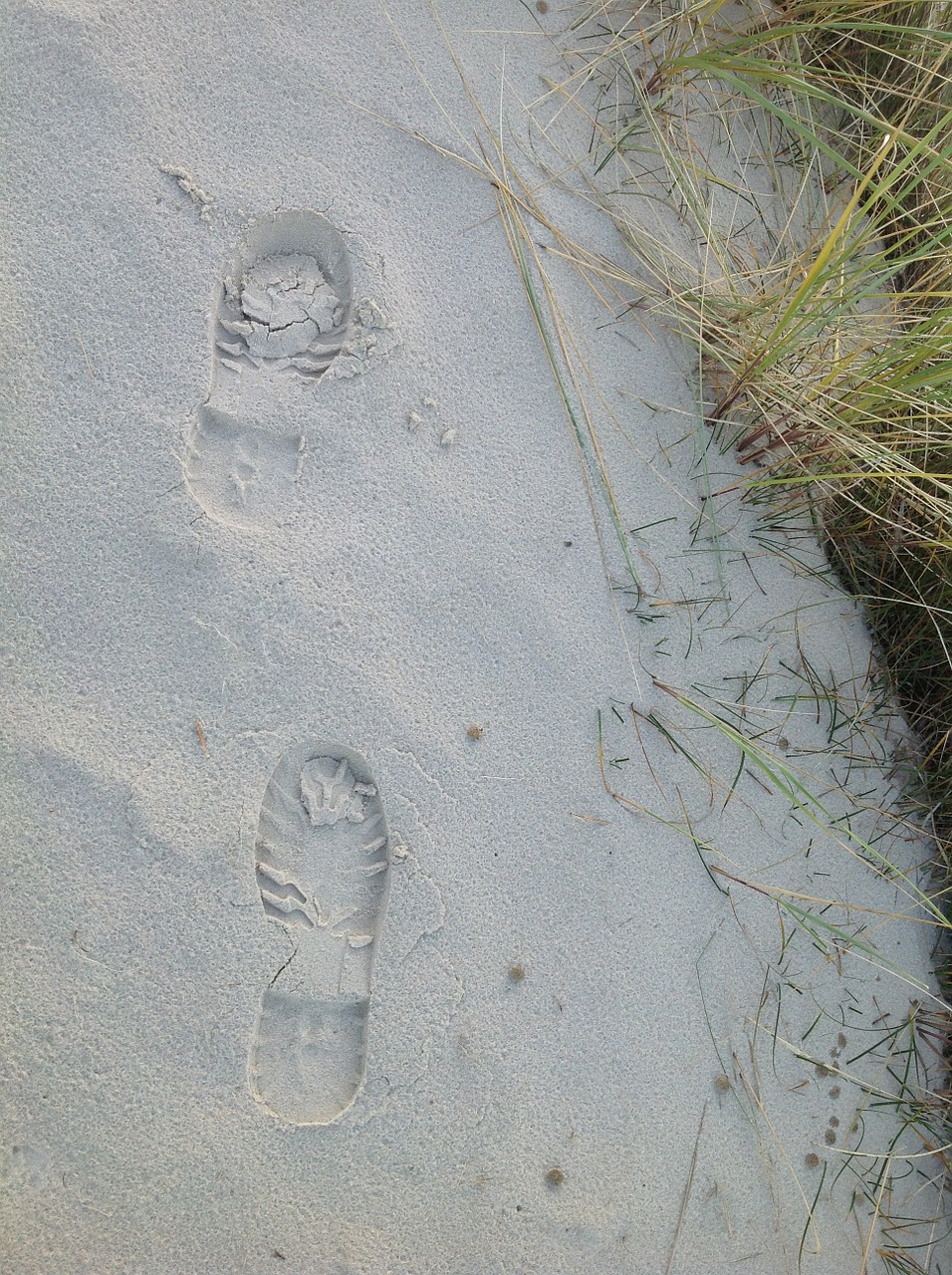 footprints sand tracks in the sand free photo