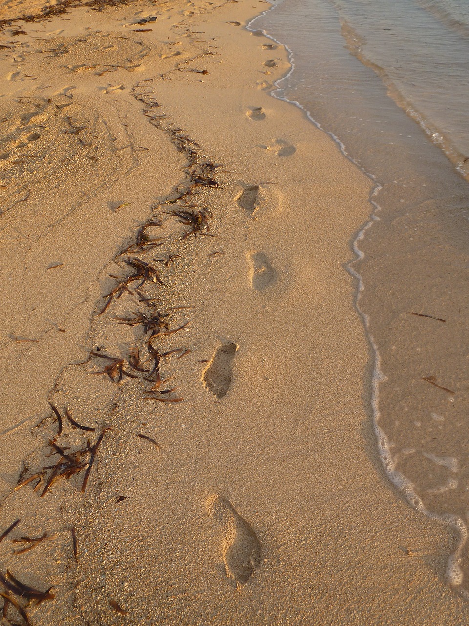 footprints beach sea free photo