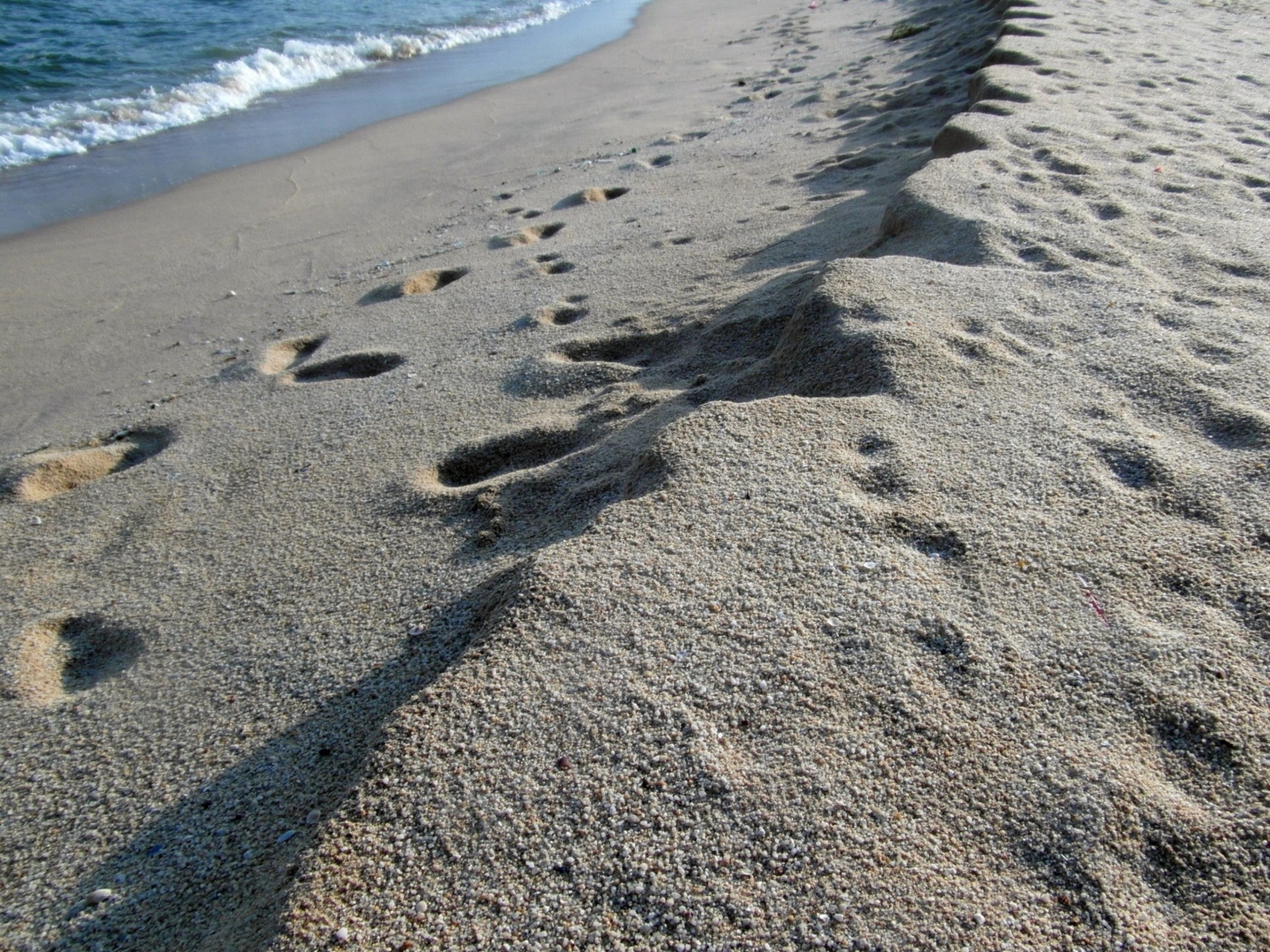 footprint footprints beach free photo