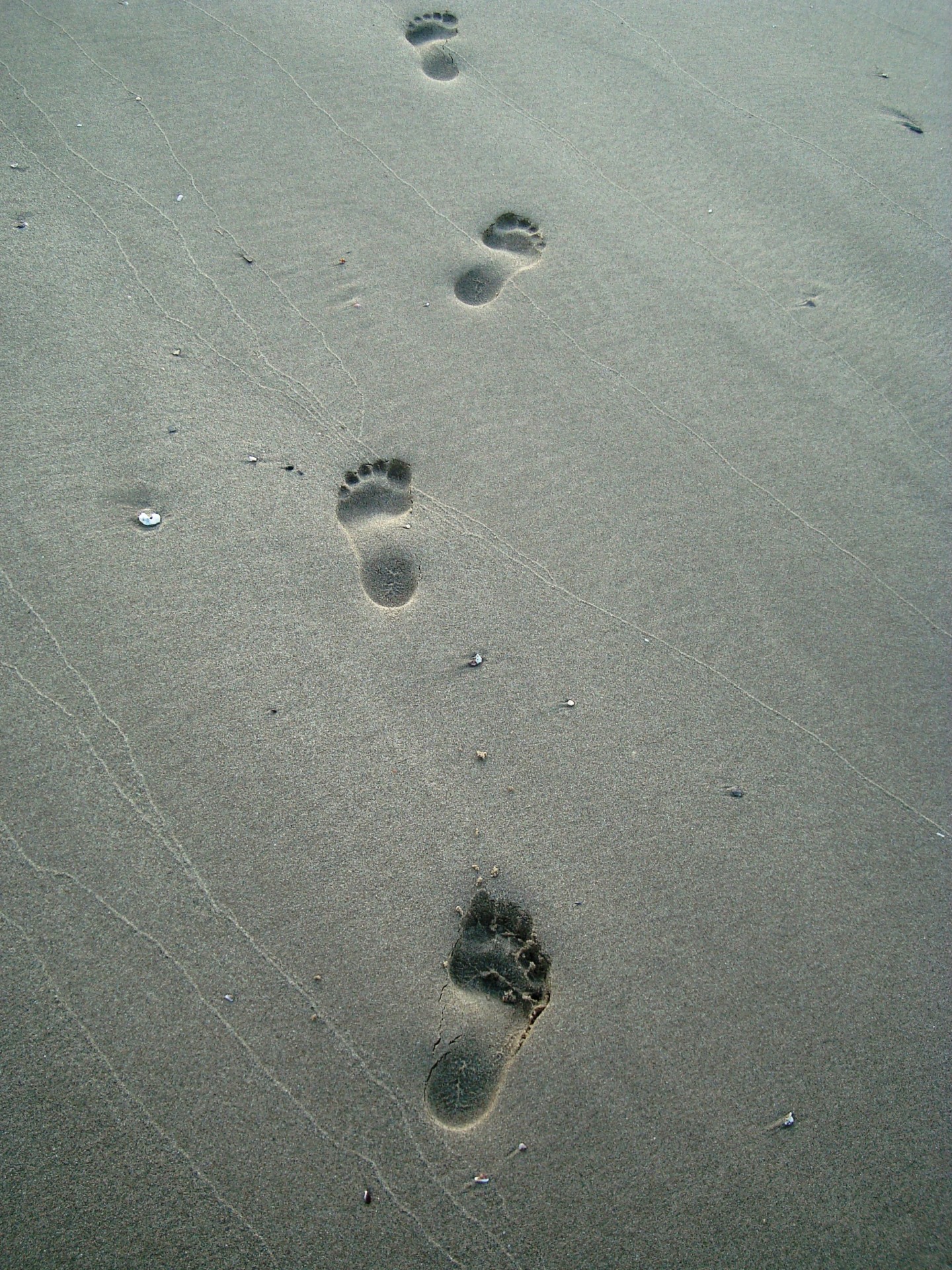 footprint footprints sand free photo