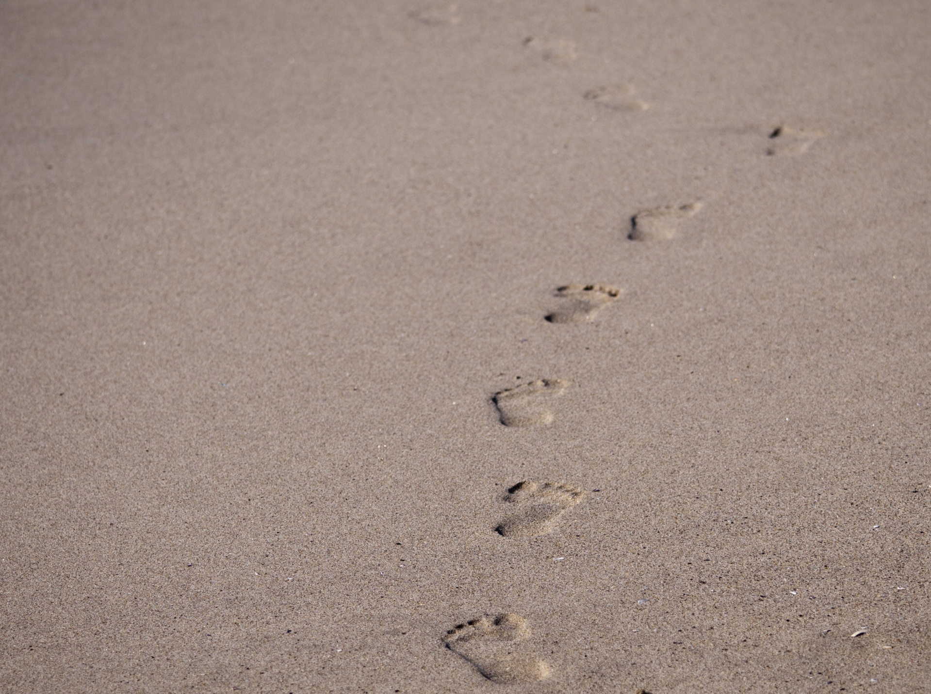 footprints sand beach poster free photo