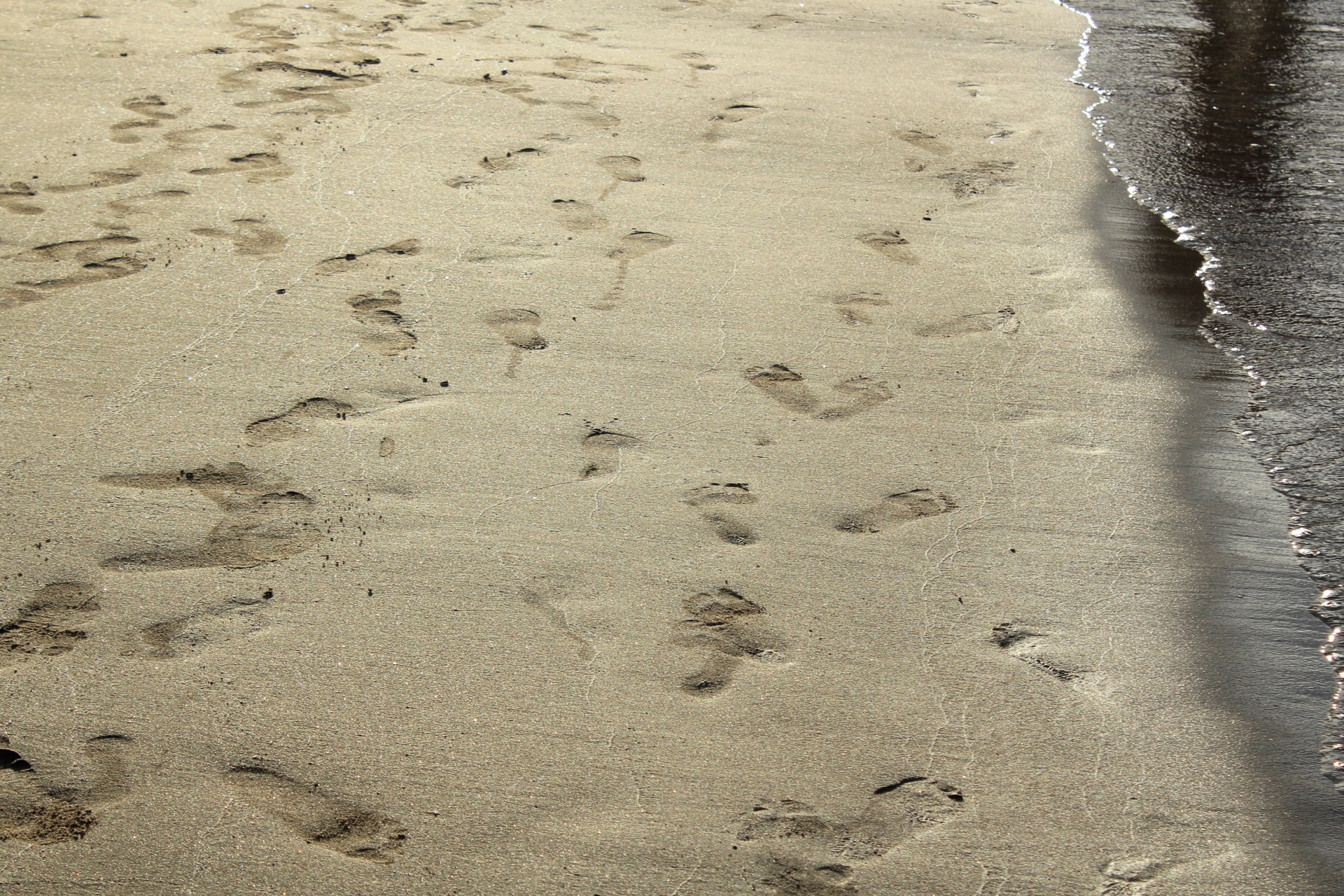 footprints sand footprints sand free photo