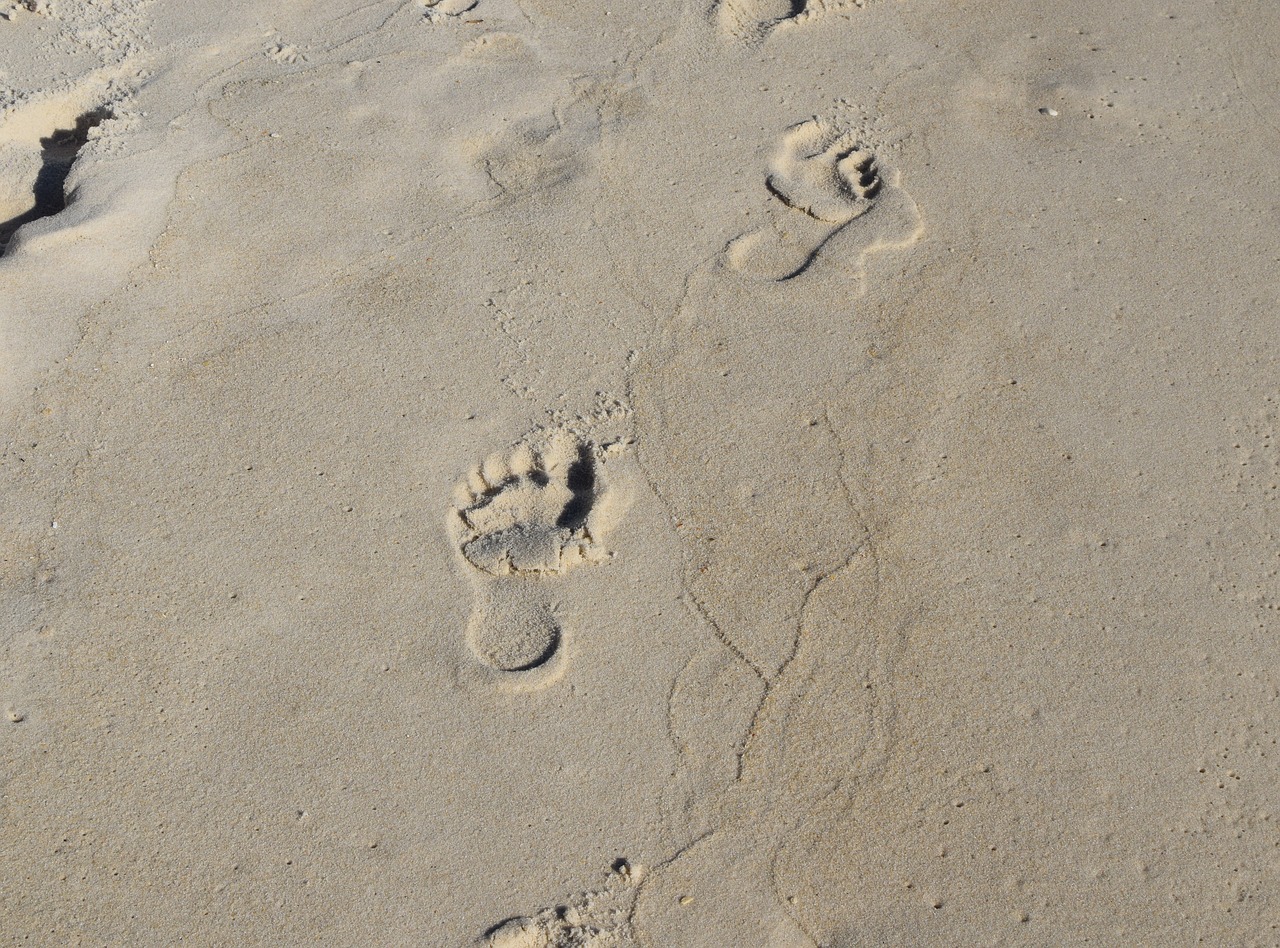 footprints in the sand footprints child free photo