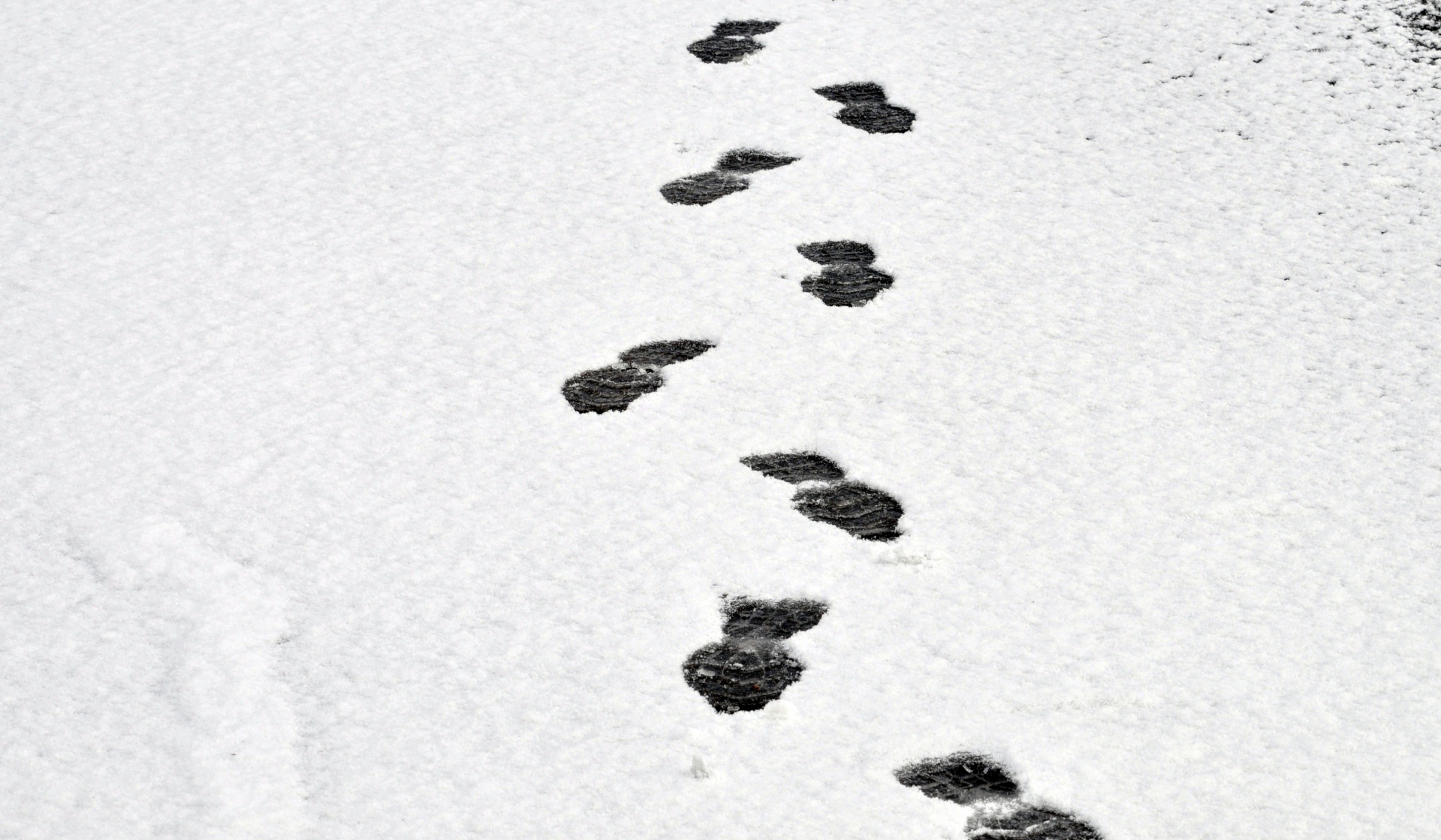 snow snowy footprints free photo