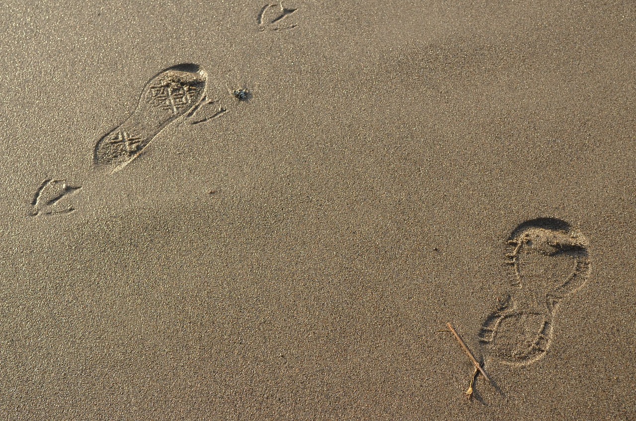 footsteps footprint step free photo