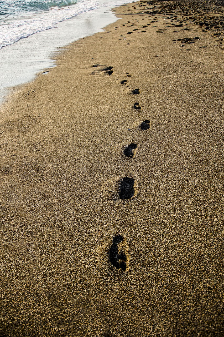 footsteps sea beach free photo