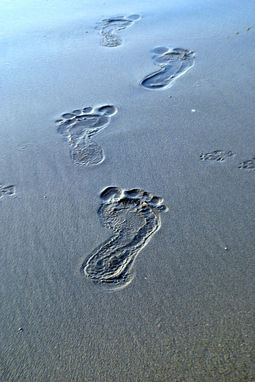 footsteps sand traces free photo