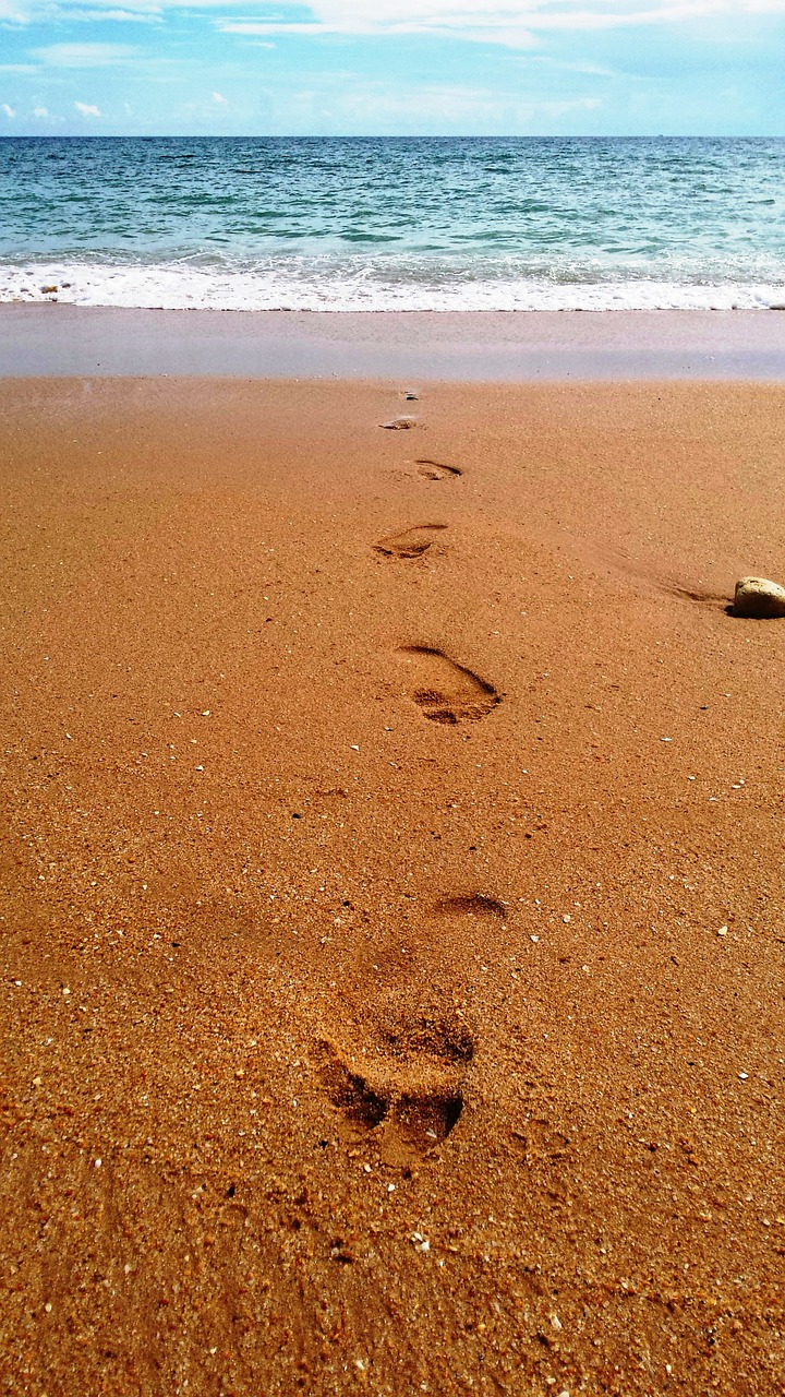 footsteps sand beach free photo