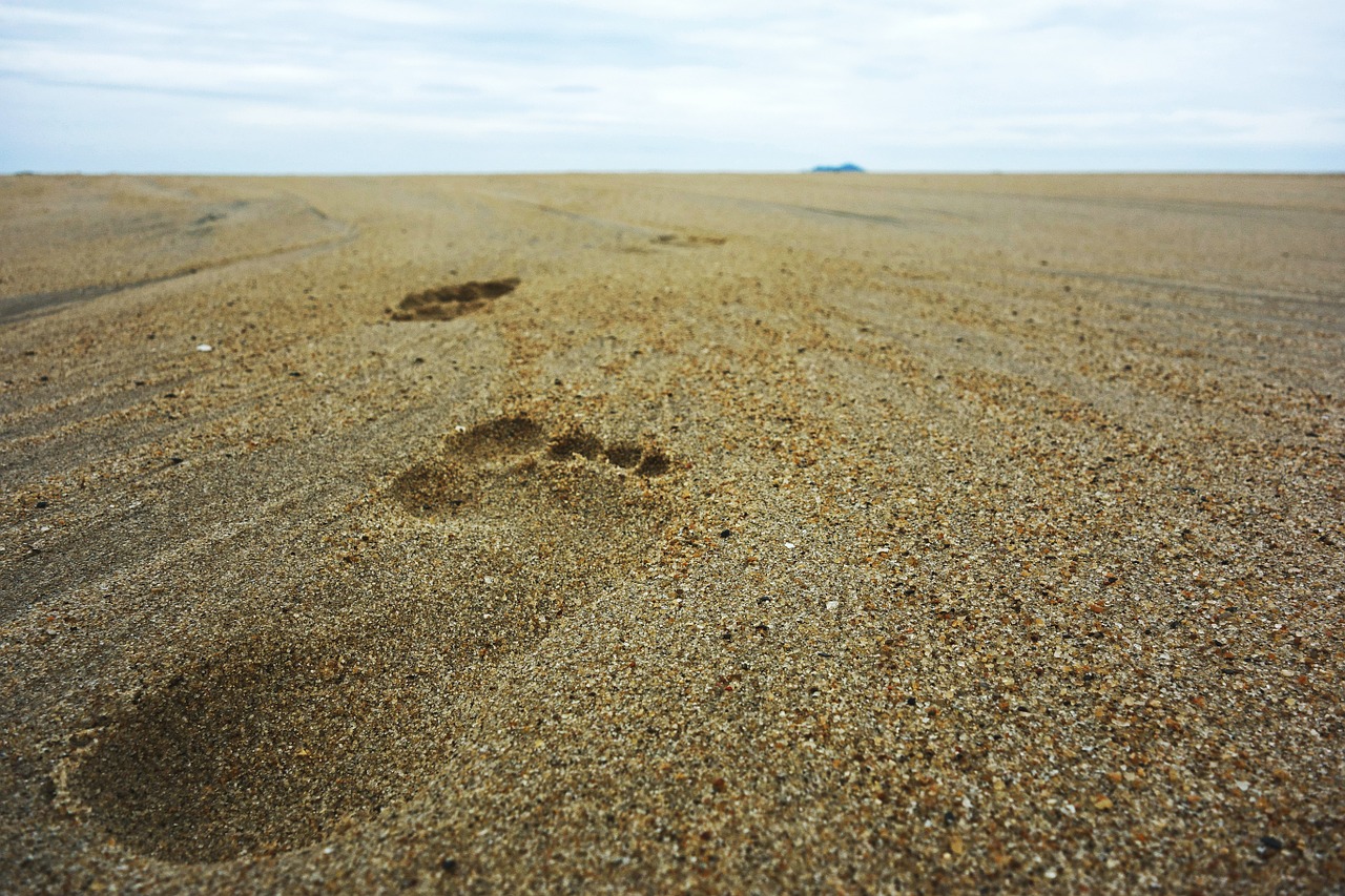footsteps sand beach free photo
