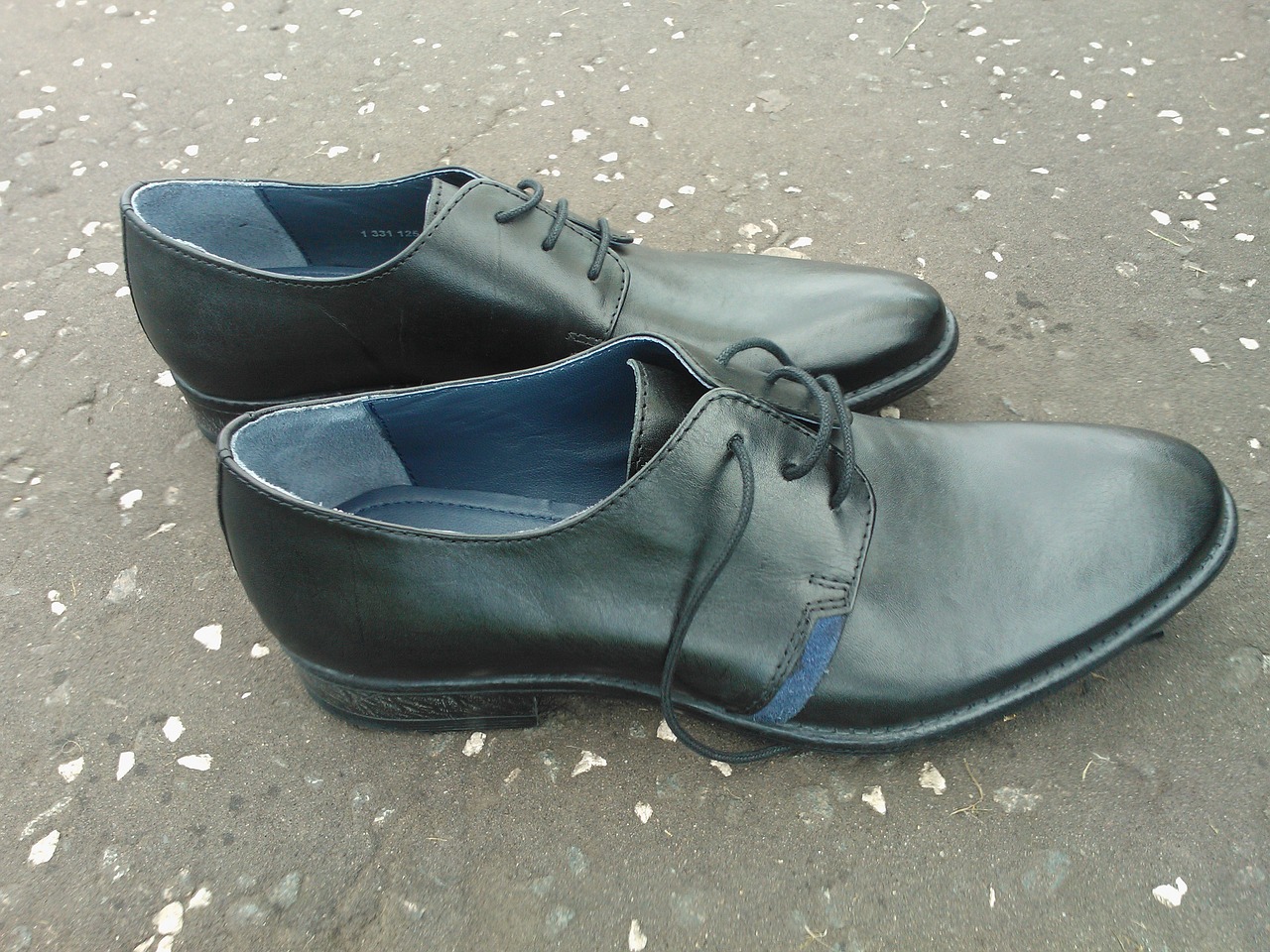 footwear men's shoes black shoes free photo